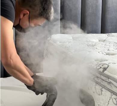 Why Upholstery Cleaning Service Matters for a Healthy Home